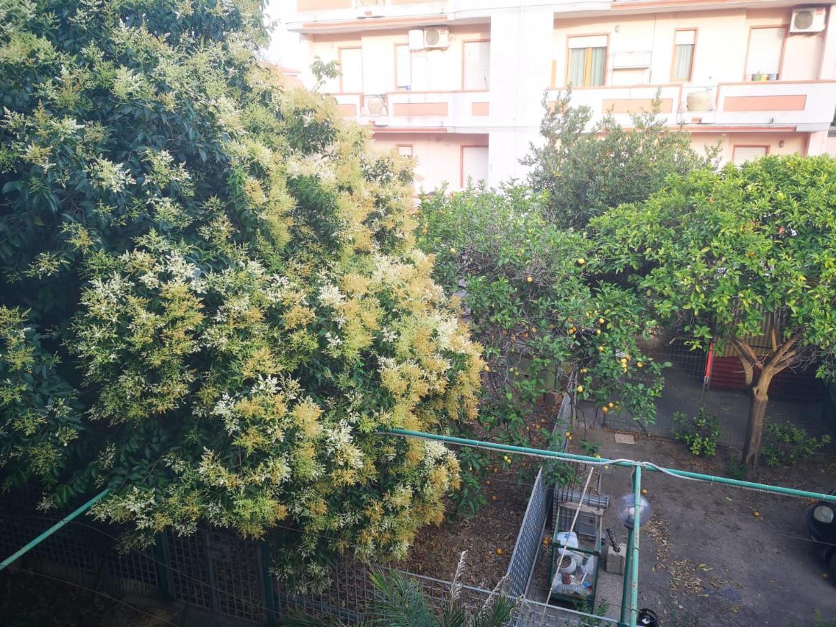 Assueli B&B 阿塞米尼 外观 照片